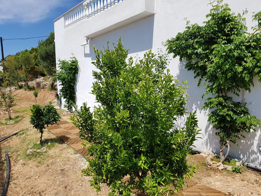 Villa Aphrodite Achlia Eksteriør bilde